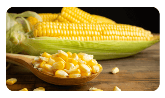 corn